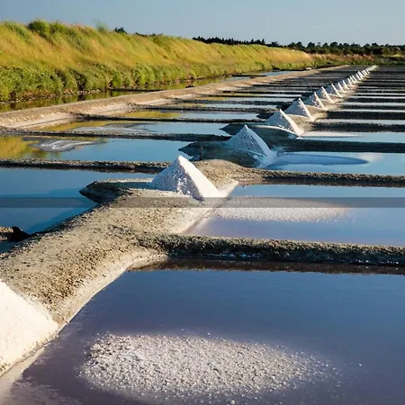 Tatil Evi Dans Ancienne Ecole De 1850 - 2 A 4 Personnes *